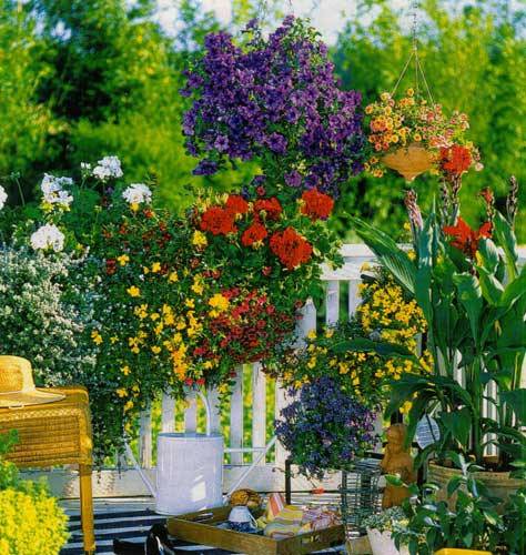 Летний мини-сад - цветущие балконы и террасы