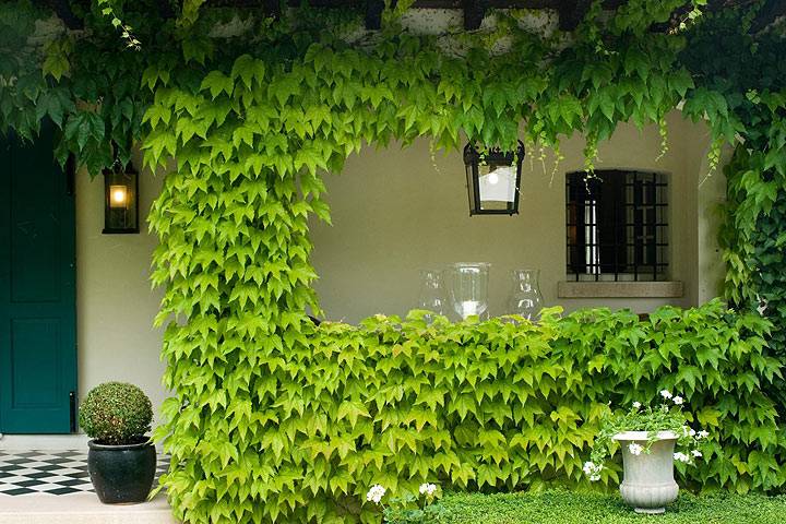 Уютный двор, утопающий в зелени (архитектор Michele Bonan)