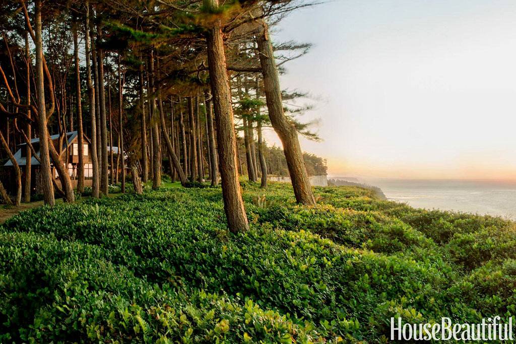 Загородный дом на природе возле океана фото