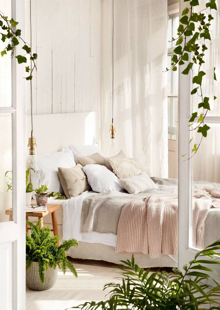 зеленые цветы в спальне очищают воздух и сохраняют влажность