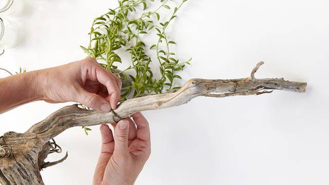 DIY: как сделать каскадную люстру с живым растением